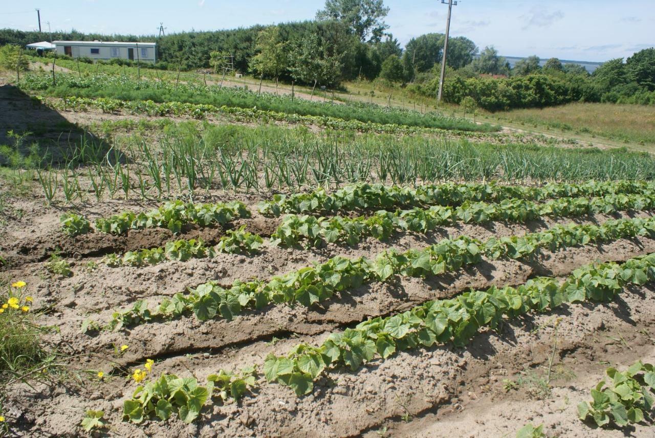Agrodomki Okej -Dom Kasjan Gardna Wielka Eksteriør bilde