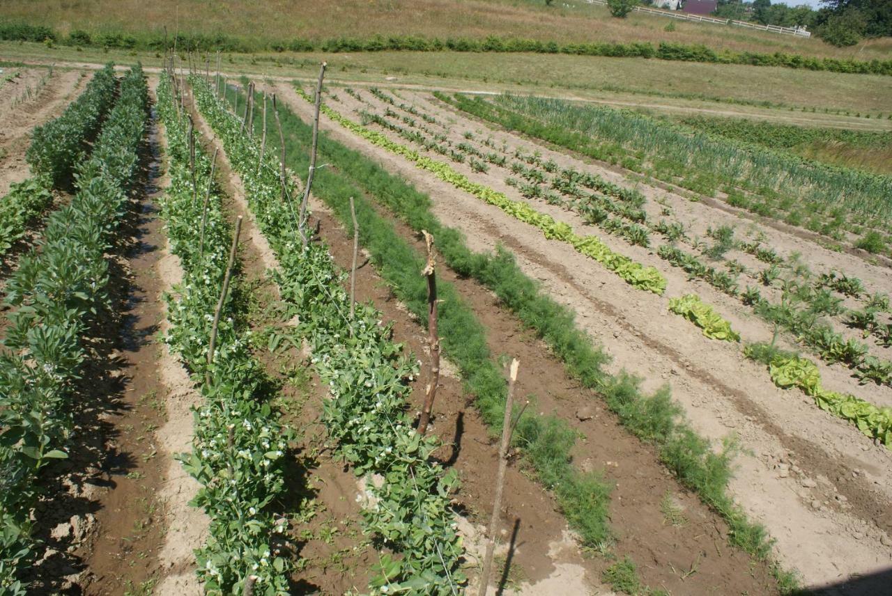 Agrodomki Okej -Dom Kasjan Gardna Wielka Eksteriør bilde